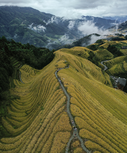 桂林龍脊梯田